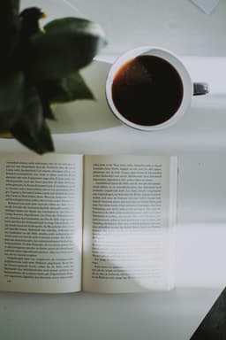 Integer non placerat quam